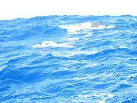 |||||||||||||||||||||||||||