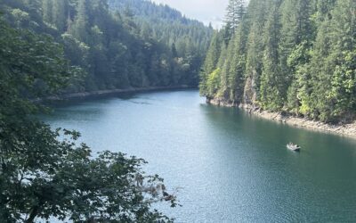 Joe Zemaitis, Taylor Stallings-Pinnick Win Inaugural Mount St. Helens Classic