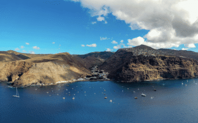Swimming Around St. Helena, One of the Most Remote Islands in the World