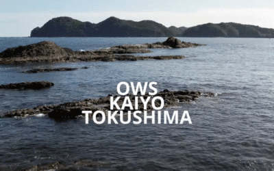 Tokushima Kaiyo – Open Water Swimming Amid Offshore Islands and Reefs