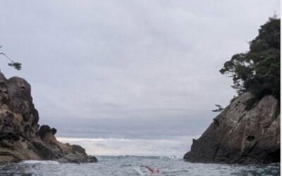 Open Water Orienteering In Tokushima