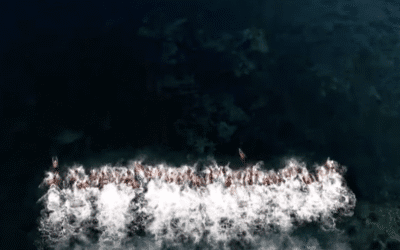 Betlehem Blast, Adding To The Open Water Swimming Lexicon