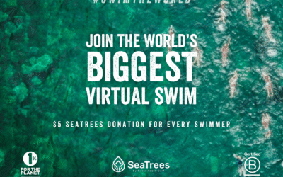 Seas The Day Leads Swim Together Around The World After Week 1