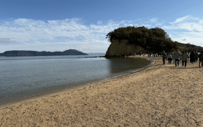 When A Reconnaissance Tour Leads To A Surprise