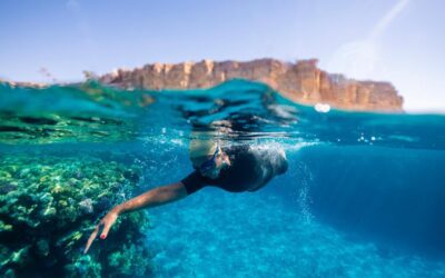 What Is Your Swimming Lineage? What Is Your Swimming DNA?