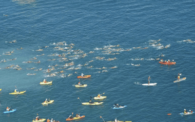 Darecations In The Open Water – Americas Version