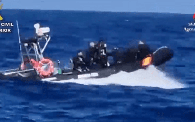 Absolutely No Monkey Business for Open Water Swimmers