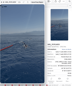 11.08.25 - 12h32.png