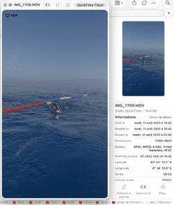 11.08.25 - 16h42.png