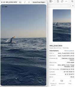 11.08.25 - 19h32.png