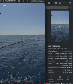 12.08.25 - 11h02.png