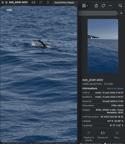 12.08.25 - 14h57.png