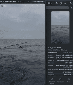 14.08.25 - 16h24.png