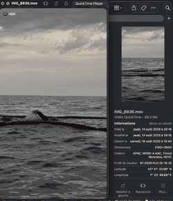 14.08.25 - 20h16.png