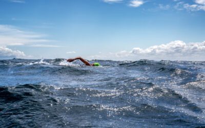 Outstanding, Mind-boggling Impressive: 2025 Solo Swim of the Year Finalists