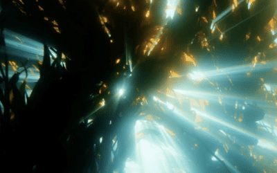 Holdfast Together: The Heroic, Dedicated Keepers of California’a Kelp