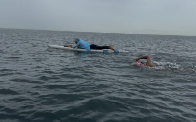 Swim Shōdoshima Day One