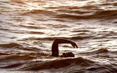 Open Water Argentina Offers 1.5 km to 70 km Challenges