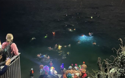 So Many Reasons Not To Swim In La Jolla