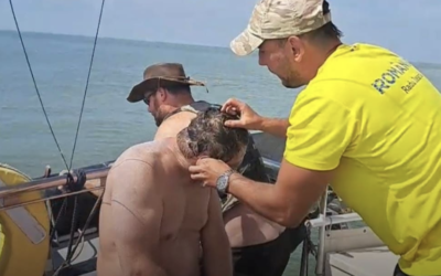 Iancu Avram Completes A Rare Breaststroke English Channel Crossing