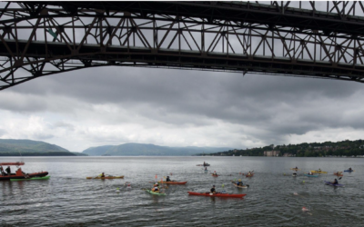 If You Want To Swim Far And Fast, Try 8 Bridges Down The Hudson River